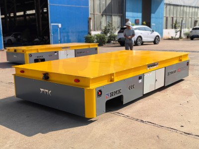 15 Tons Çeşitli Tekerleksiz Taşıma Arabası